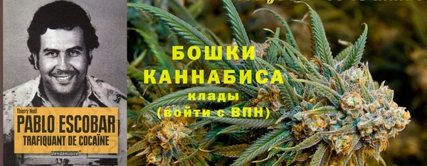 2c-b Пересвет