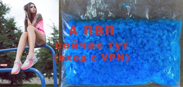 2c-b Пересвет