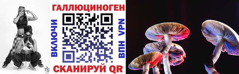 Галлюциногенные грибы ЛСД Киселёвск