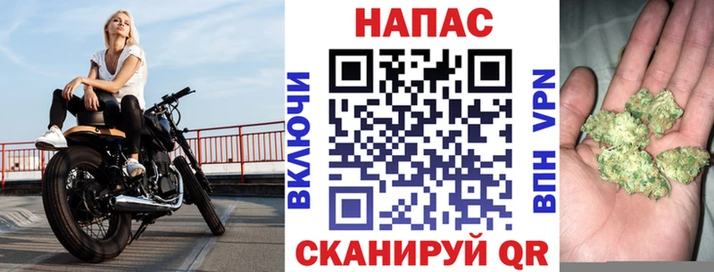 дарнет шоп  Киселёвск  Канабис семена 